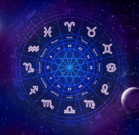 Indian astrologer in Montreal